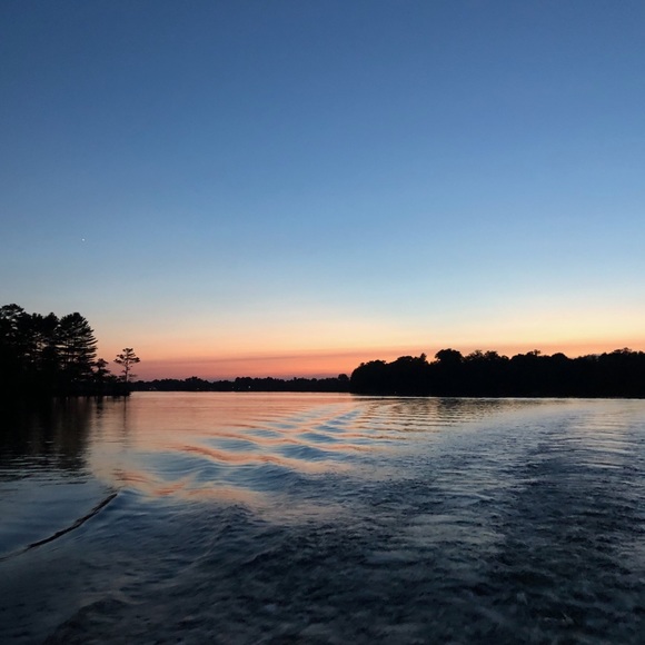 Meet your Posher, Millie - Picture 4 of 5